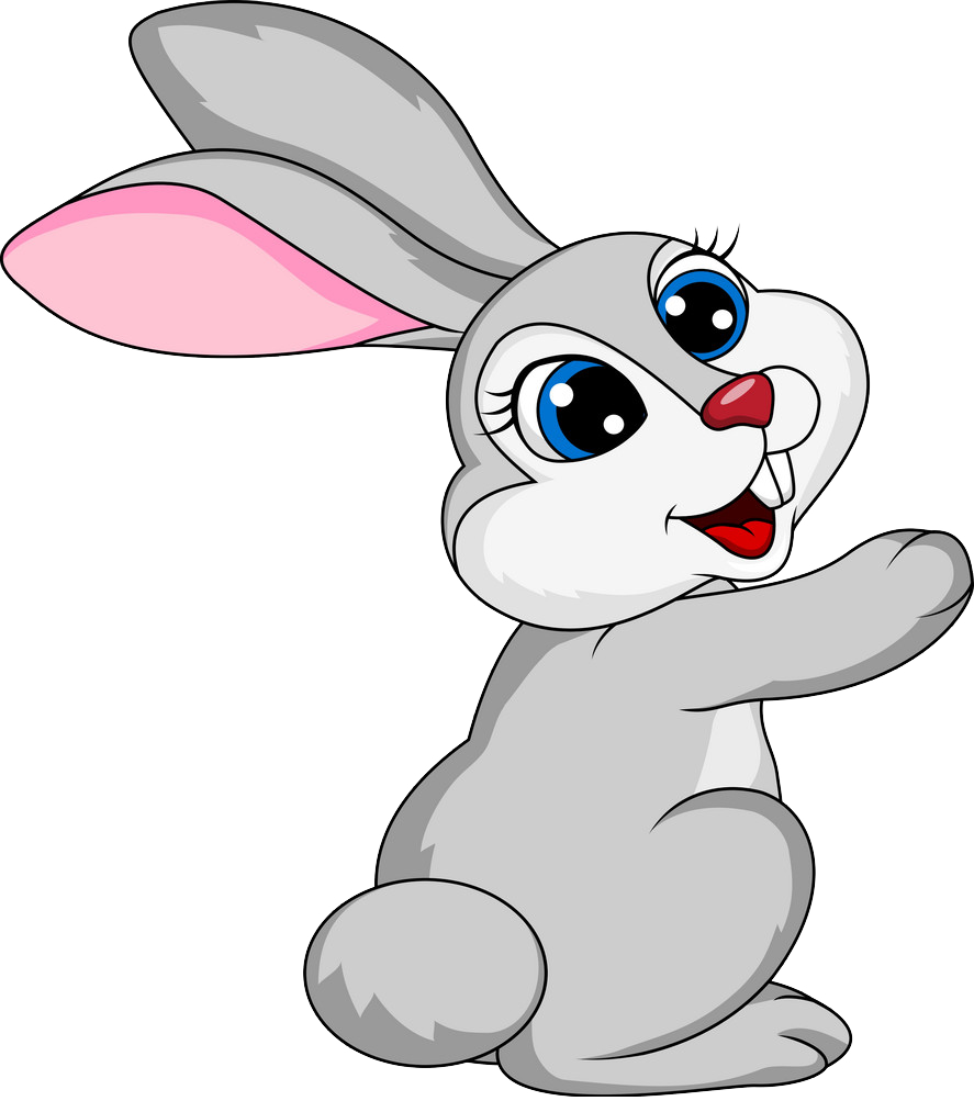 image of bunny